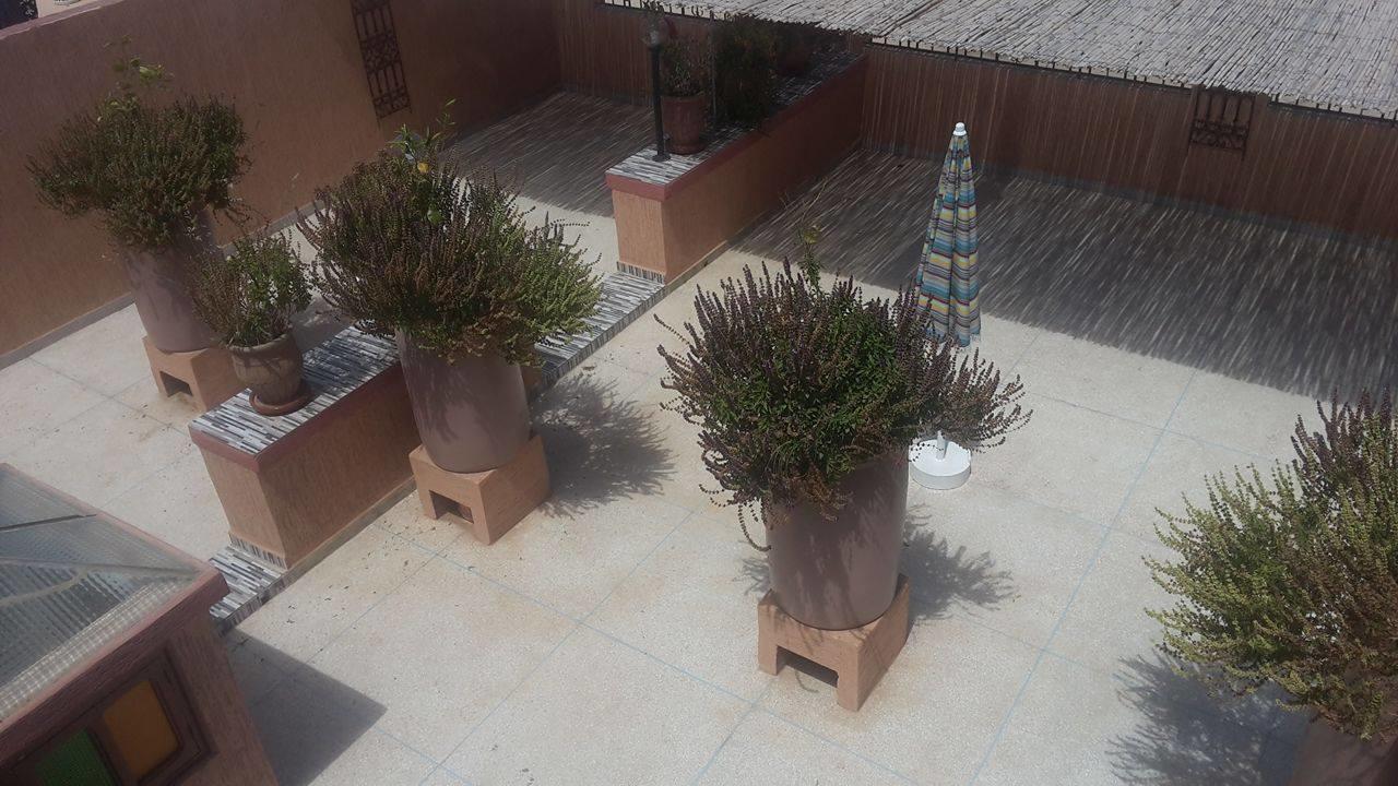 Oulad Barrehil La Paillade酒店 外观 照片