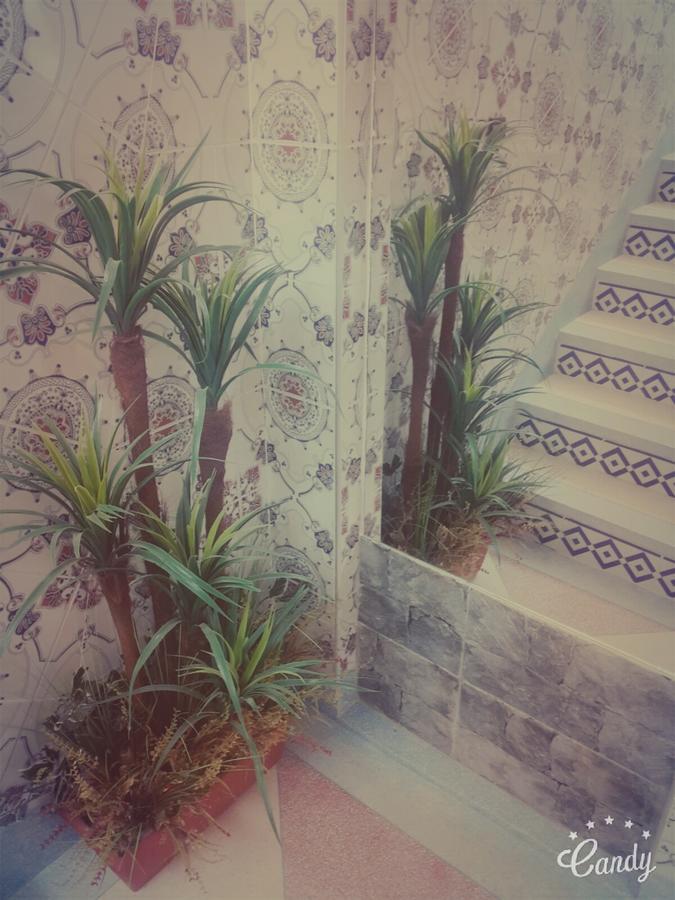 Oulad Barrehil La Paillade酒店 外观 照片